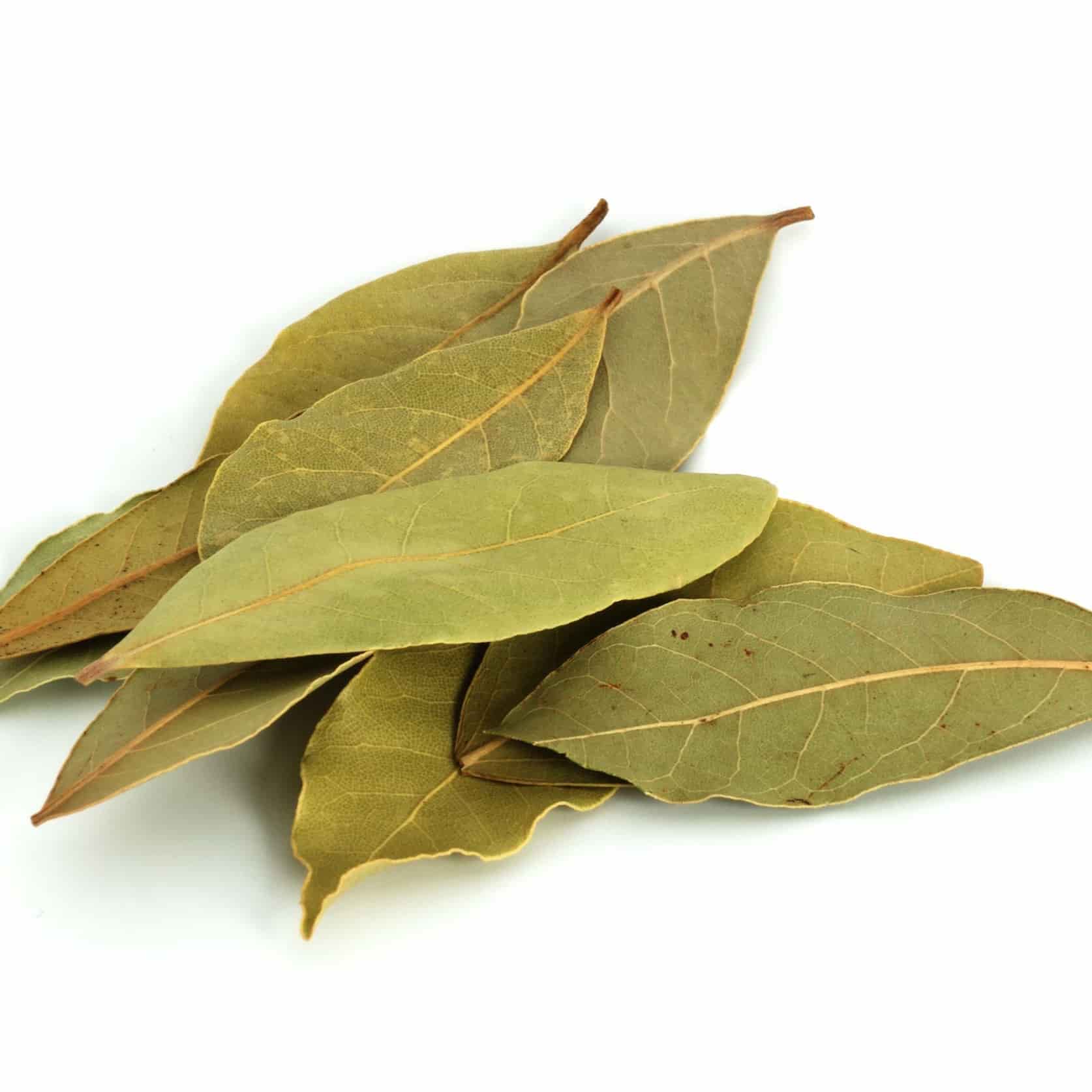 bay-leaves-dry