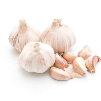 fresh-garlic