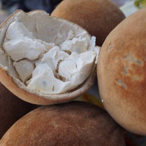Baobab