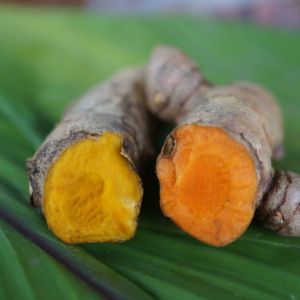Curcuma