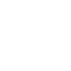 Automotive-Icon