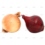 demo-attachment-614-Fresh-Onions-1280x639-1