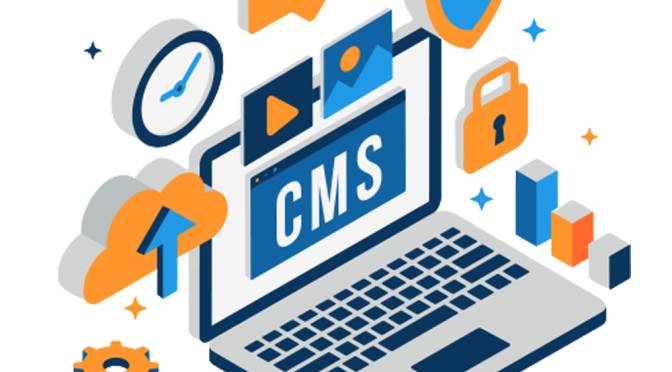 CMS Website Design Singapore